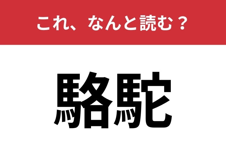 【駱駝】はなんと読む?砂漠にいる動物です!のメイン画像