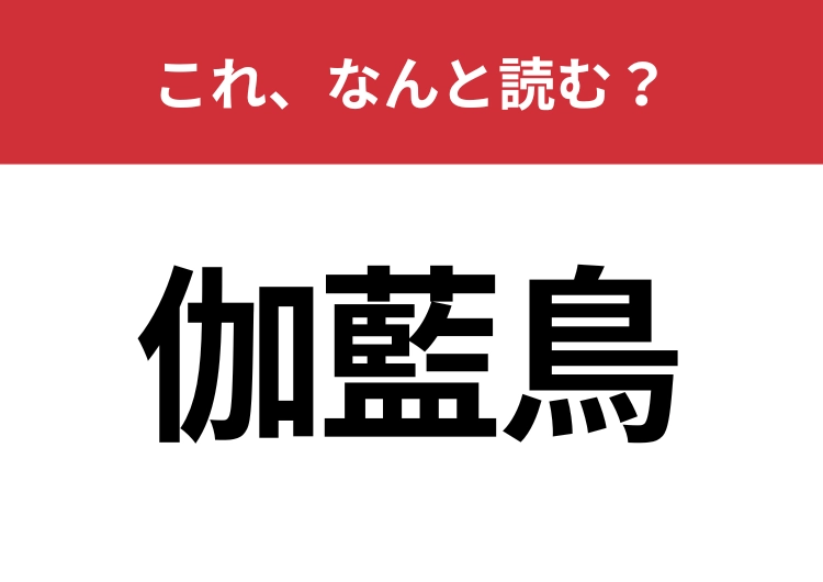 【伽藍鳥】はなんと読む？ヒントは海で見かける鳥です！