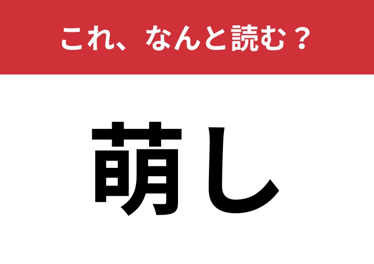 【萌し】はなんと読む？あなたは正しく読めますか？