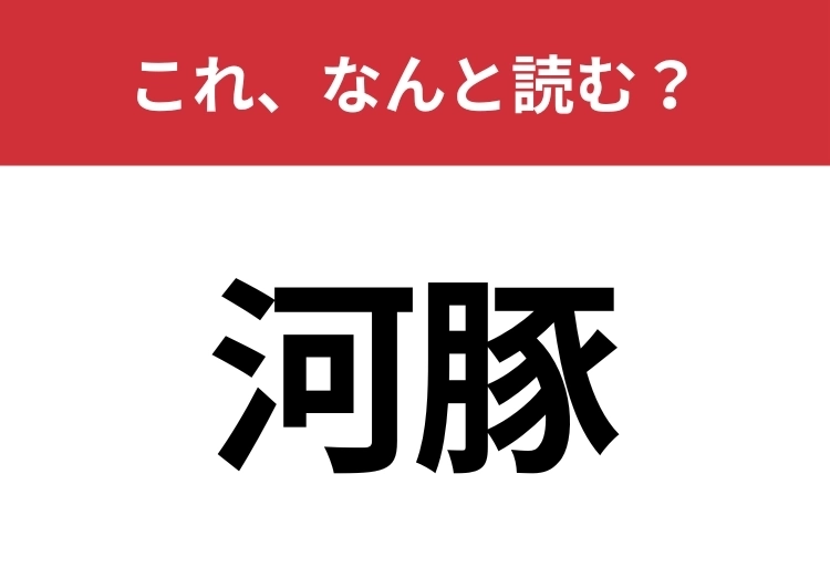 【河豚】はなんと読む？ぷっくり膨らむあの魚！のメイン画像