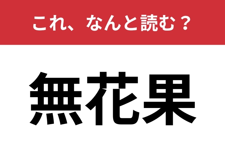 【無花果】はなんと読む？美容効果の高い果物です！のメイン画像