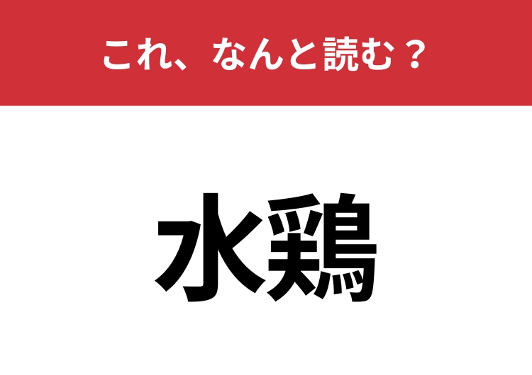 【水鶏】はなんと読む？三文字で読みますよ！