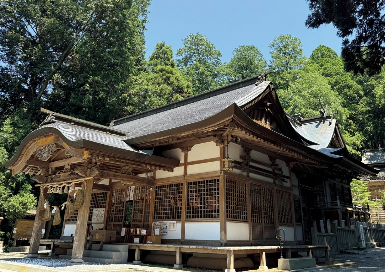 【GWに訪れたい最強神社】神社ソムリエが教える、2026年絶対に参拝したい〝今一番アツい神社〟のメイン画像
