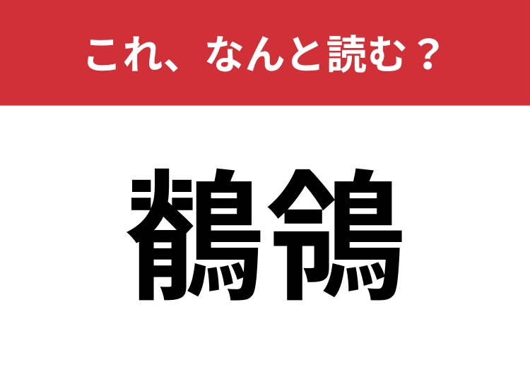 【鶺鴒】はなんと読む？漢字の見た目に反して読み方は簡単！？のメイン画像