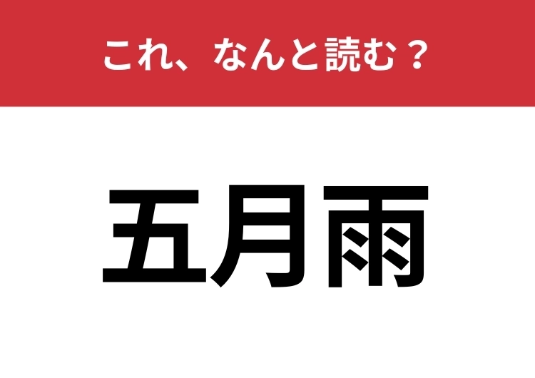 【五月雨】はなんと読む？「ごがつあめ」とは読みません！のメイン画像