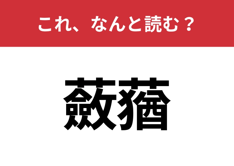 【蘞蕕】はなんと読む？知っていたら博識！のメイン画像