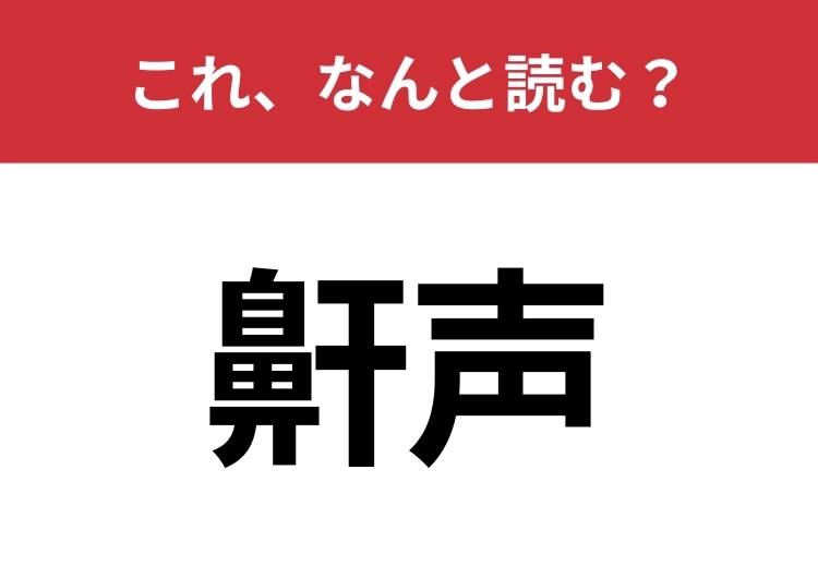 【鼾声】はなんと読む？「はなごえ」とは読みません！のメイン画像