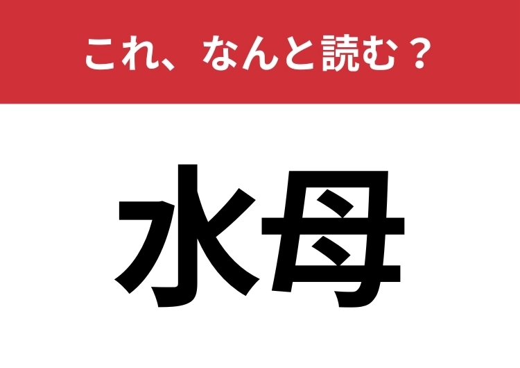【水母】はなんと読む?水族館で人気のあの生き物!のメイン画像