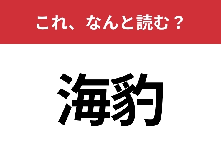 【海豹】はなんと読む?「ヒョウ」のイメージとは違って可愛い動物の名前です!のメイン画像