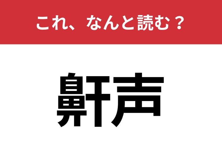 【鼾声】はなんと読む？「はなごえ」とは読みません！