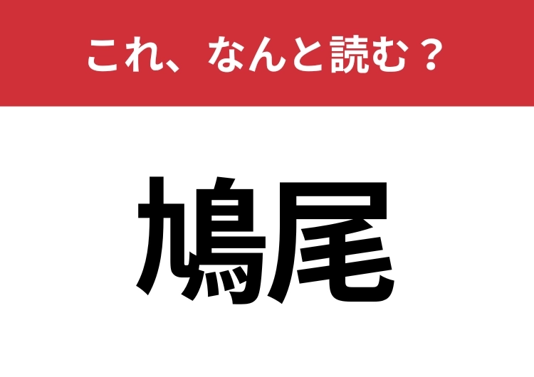 【鳩尾】はなんと読む？鳥の尾に形が似ている体の一部です！のメイン画像